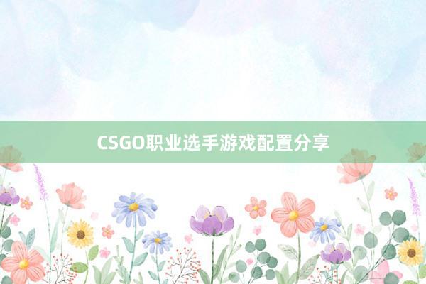 CSGO职业选手游戏配置分享