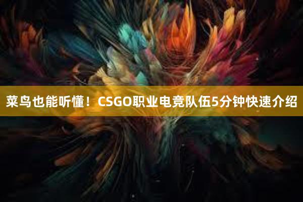 菜鸟也能听懂！CSGO职业电竞队伍5分钟快速介绍