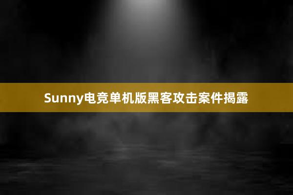 Sunny电竞单机版黑客攻击案件揭露