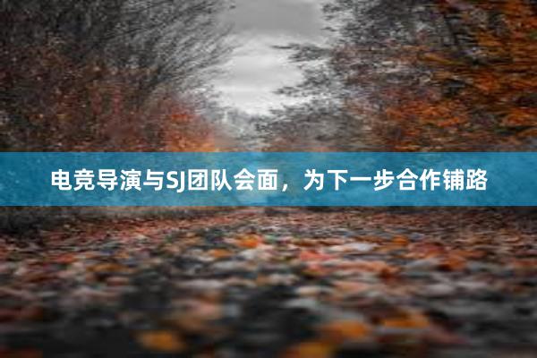 电竞导演与SJ团队会面，为下一步合作铺路