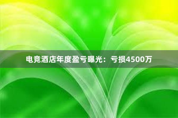 电竞酒店年度盈亏曝光：亏损4500万