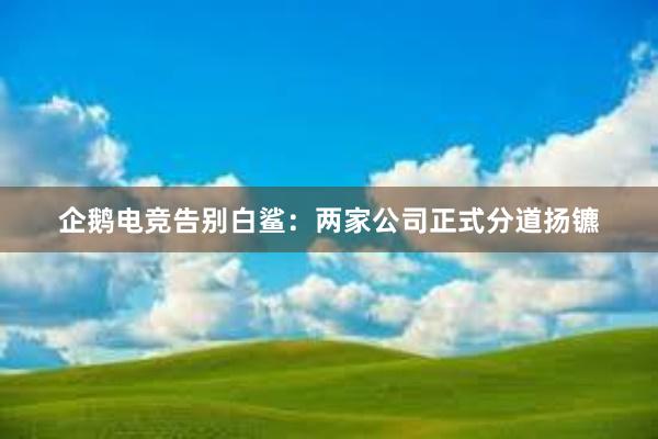 企鹅电竞告别白鲨：两家公司正式分道扬镳