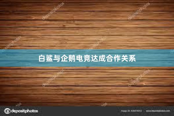 白鲨与企鹅电竞达成合作关系