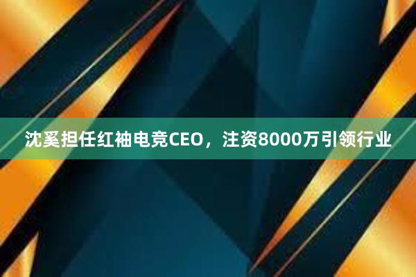 沈奚担任红袖电竞CEO，注资8000万引领行业