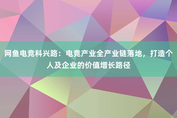 网鱼电竞科兴路：电竞产业全产业链落地，打造个人及企业的价值增长路径